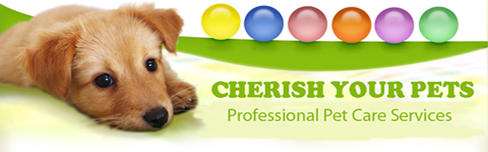 Pet Services Image