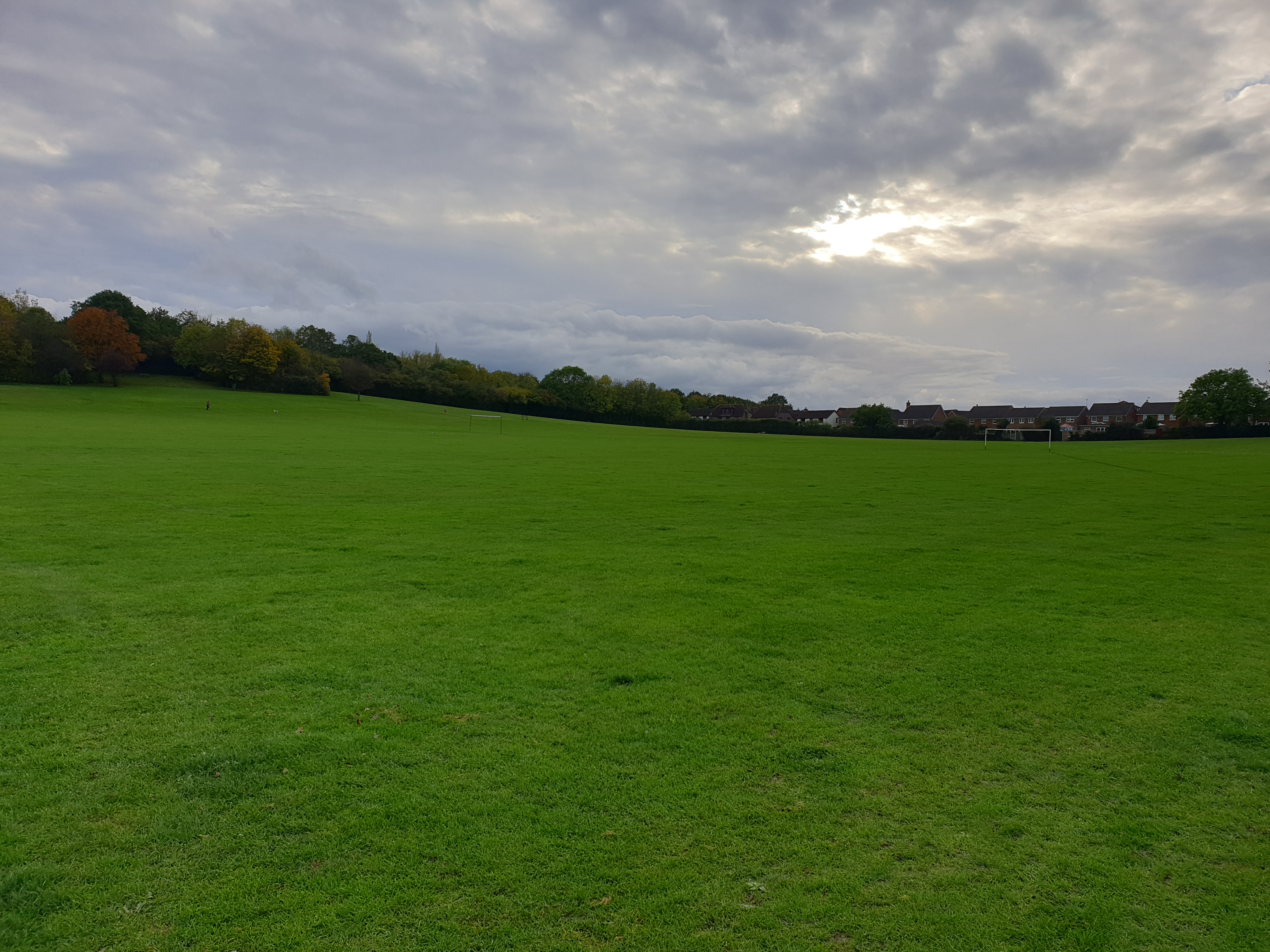 Langdon Hills Dog Walker